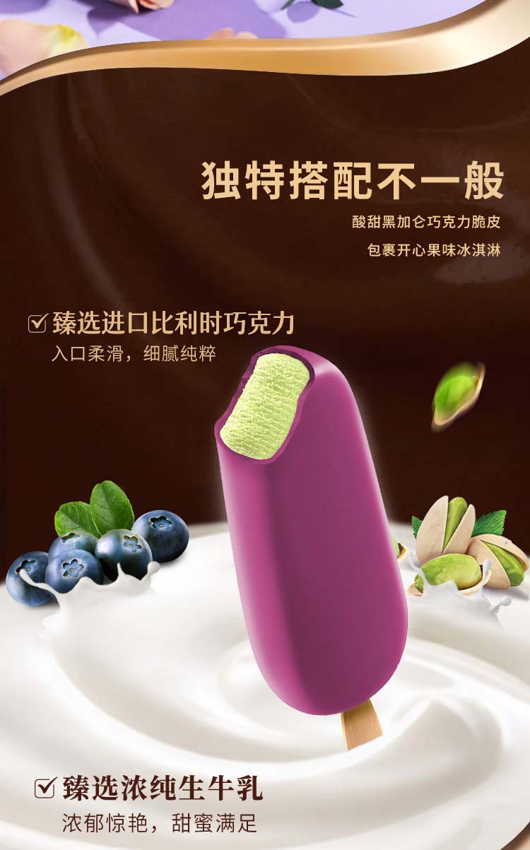 炫黑加侖巧克力脆層+開心果味冰淇淋 65g